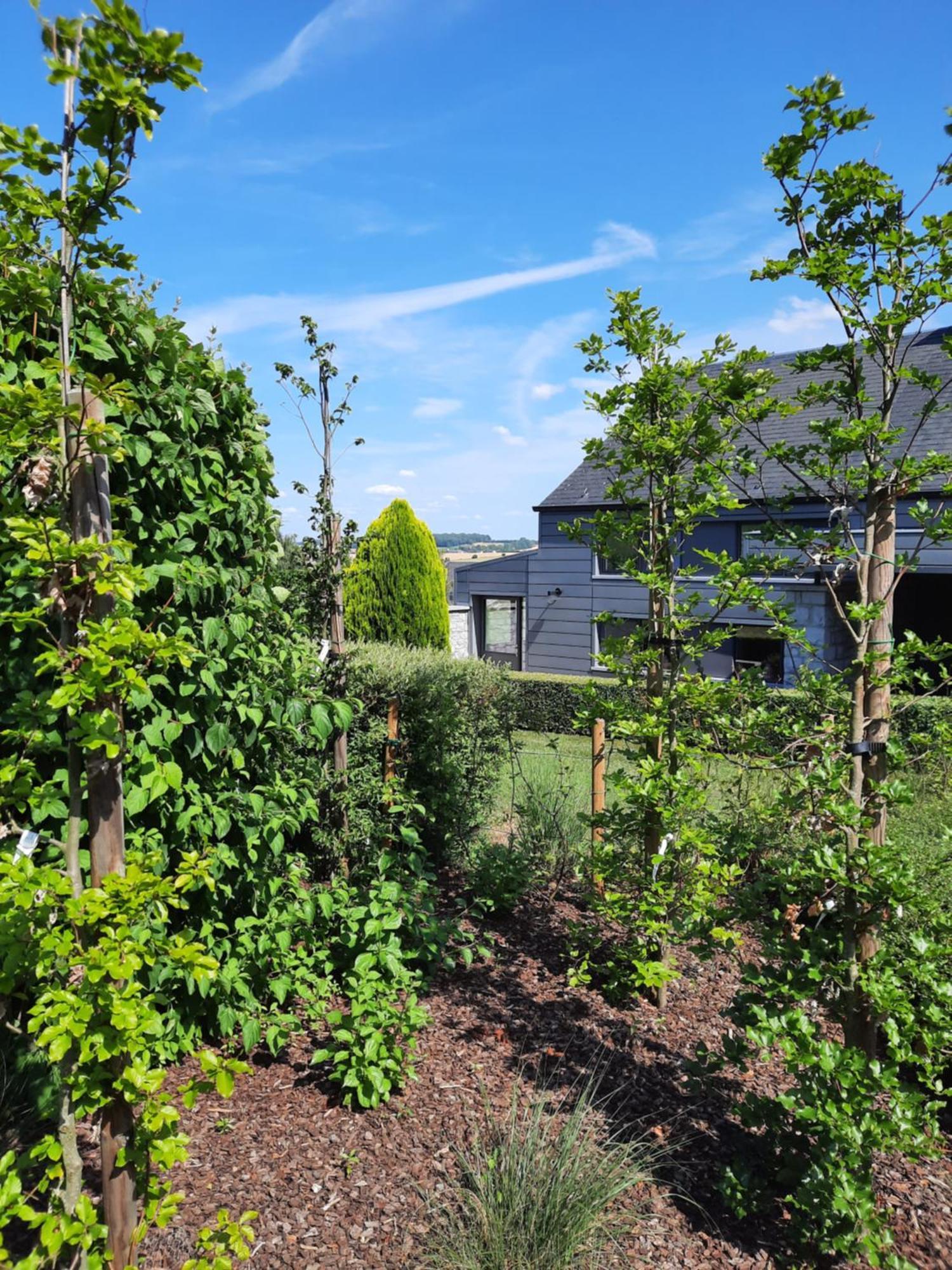 La Petite Maison Du Weris Villa Miecret Kültér fotó